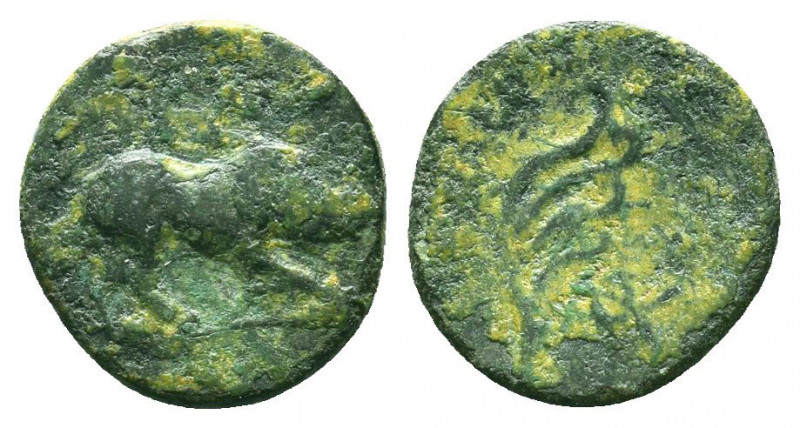 CILICIA, Anazarbus. Autonomous Issues. Æ

Condition: Very Fine

Weight: 1.5 ...