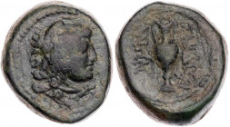 LYDIEN SARDEIS
 AE-Chalkus 2.-1. Jh. v. Chr. Vs.: Kopf des Herakles mit Löwenskalp n. r., Rs.: Amphora, rechts unten im Feld Monogramm BMC 45; SNG Co...