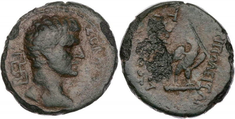LYDIEN TRIPOLIS
Augustus, 27 v. - 14 n. Chr. AE-Tetrachalkon unter Tryphon Phil...