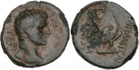 LYDIEN TRIPOLIS
Augustus, 27 v. - 14 n. Chr. AE-Tetrachalkon unter Tryphon Philopatridos Vs.: Kopf n. r., dahinter Mäanderornament, Rs.: Adler steht ...