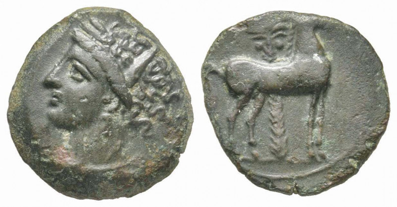 Zeugitania II Punic War, 221-202 BC, AE 2.97 g. 
Ref: SNG Copenhagen 341, Muller...