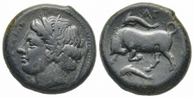 Sicily, Syracusa, Agathokles, 317-289 BC, AE 11.48 g.
Ref: ANS.564 - VF