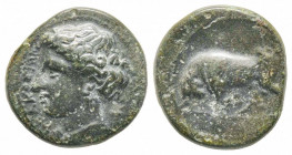 Sicily, Syracuse, Agathokles, 317-289 BC, AE 3.35 g.
Ref: Sear 1196 - Fine