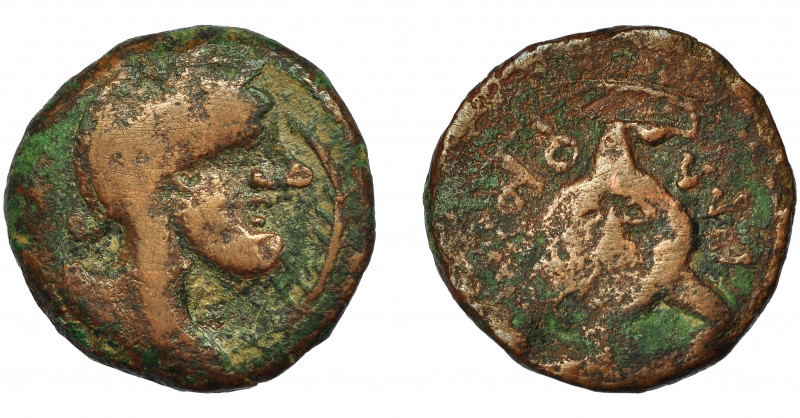 HISPANIA ANTIGUA. FLORENTIA-ILIBERRI. As. A/ Cabeza masculina con casco a der., ...