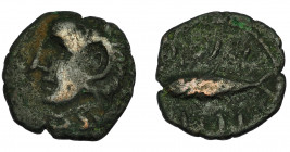 HISPANIA ANTIGUA. GADIR. Semis o cuarto. A/ Cabeza de Melkart con leonté a izq. R/ Atún a izq.; mpl/´gdr. AE 1,69 g. 15,5 mm. I-1346- ACIP-692. BC/BC+...