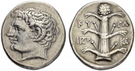 CYRENAICA. Cyrene. Didrachm 300/298. Obv. Head of young Apollo Carneios with ram's horn to l. Rev. KY - PA Silphium plant. Monogram on l. and r. 7.53 ...