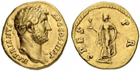 Hadrianus, 117-138. Aureus 134/138, Rome. Obv. HADRIANVS - AVG COS III PP Laureate head to r., slight drapery on l. shoulder. Rev. SPES - P R Spes adv...