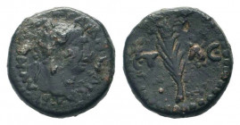 ASIA MINOR. Uncertain. Trajan.117-138 AD. AE Bronze.ΑΥ ΝƐΡΒΑ ΤΡΑΙΑΝⲰ ΚΑΙϹΑΡΙ, laureate head of Trajan, right / ƐΤ ΛƐ, palm branch.RPC III online 6554....