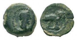 EGYPT. Alexandria. Lucius Verus.161-169 AD.AE Bronze.Head of Lucius Verus ( ? ), right / Ibis to right ( ? ).


Weight : 2.1 gr

Diameter : 12 mm