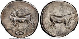 LUCANIA. Laus. Ca. 480-460 BC. AR stater (19mm, 7.78 gm, 11h). NGC Choice VF 4/5 - 3/5, brushed. ΛAS (retrograde), man-faced bull standing left, head ...