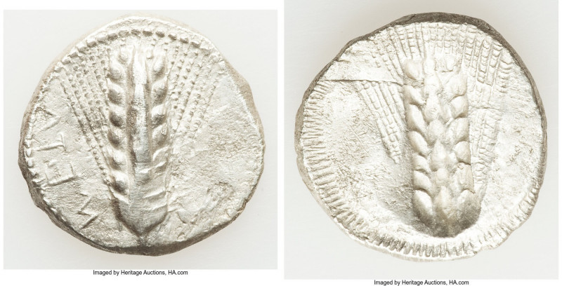 LUCANIA. Metapontum. Ca. 510-470 BC. AR stater (22mm, 6.94 gm, 11h). XF, scuff, ...