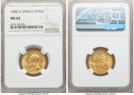 Republic gold Pond 1900 MS62 NGC, Pretoria mint, KM10.2, Fr-2, Hern-Z53. Orange toning with superior eye appeal and luster. Small rim nick at 7 o'cloc...