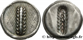 LUCANIA - METAPONTUM
Type : Nomos, statère ou tridrachme 
Date : c. 510-490 AC. 
Mint name / Town : Métaponte, Lucanie 
Metal : silver 
Diameter : 28,...
