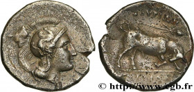 LUCANIA - THOURIOI
Type : Nomos, statère ou didrachme 
Date : c. 350-300 AC. 
Mint name / Town : Thurium, Lucanie 
Metal : silver 
Diameter : 22,5  mm...