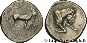 SICILY - GELA
Type : Tétradrachme 
Date : c. 450-440 AC. 
Mint name / Town : Géla, Sicile 
Metal : silver 
Diameter : 29  mm
Orientation dies : 9  h.
...