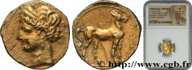 ZEUGITANA - CARTHAGE
Type : Trois huitième de shekel 
Date : c. 220-202 AC. 
Mint name / Town : Carthage 
Metal : electrum 
Millesimal fineness : 300 ...