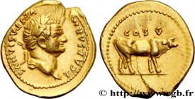 TITUS
Type : Aureus 
Date : 76 
Mint name / Town : Rome 
Metal : gold 
Diameter : 21  mm
Orientation dies : 6  h.
Weight : 7,32  g.
Rarity : R1 
Obver...