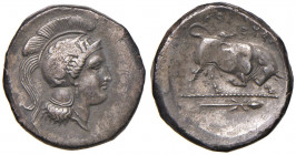 LUCANIA Thourioi - Distatere (circa 400-350 a.C.) Testa elmata di Atena - R/ Toro cozzante. All’esergo un tirso - HN 1824 AG (g 14,09)
BB