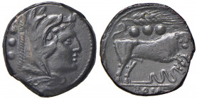 Anonime - Quadrante (zecca siciliana, 217-215 a.C) Testa di Ercole a d. - R/ Toro, sotto un serpente - Cr.42/2; Syd. 66 AE (g 12,92) R
SPL