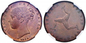 ISOLA DI MAN Vittoria (1837-1901) Farthing 1839 - KM 12 CU In slab NGC MS65BN 3216529-003
FDC