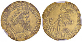 NAPOLI Carlo V (1516-1554) Doppia - Magliocca 8 AU (g 6,74) R In slab NGC MS62 5887104-049
qFDC