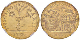 Pio VI (1774-1799) Bologna - Mezza doppia 1788 - Munt. 193b AU (g 2,72) RRR In slab NGC MS61 5887105-011 
qFDC