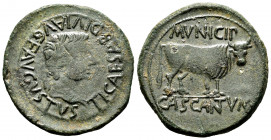 Cascantum. Época de Tiberio. As. 14-36 d.C. Cascante (Navarra). (Abh-690). Anv.: Cabeza laureada de Tiberio a derecha, alrededor TI. CAESAR. DIVI. AVG...