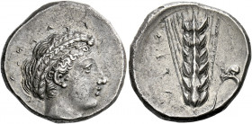 Metapontum.   Nomos circa 400-340, AR 8.09 g. Head of Demeter r., with hair in braids around head; above, FANAS retrograde. Below neck truncation, [SA...