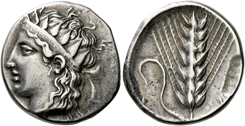 Metapontum.   Nomos circa 400-340, AR 6.50 g. Head of Dionysus l., wearing diade...