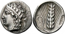Metapontum.   Nomos circa 400-340, AR 6.50 g. Head of Dionysus l., wearing diadem decorated with a meander pattern and ivy leaves above. Rev. [META] B...