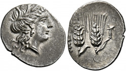 Metapontum.   Quarter-shekel circa 215-207, Hannibalic issues, AR 1.59 g. Head of Demeter r., wearing barley wreath. Rev. [META] Two barley-ears, each...