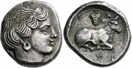 Euboia, Euboian League.   Stater circa 375-357, AR 12.16 g. Diademed head of the nymph Euboia r., wearing a half-moon shaped earring and necklace. Rev...