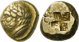 Mysia, Cyzicus.   Stater circa 360-330, EL 15.97 g. Bearded and laureate head l. (Philip II of Macedonia?); beneath neck truncation, tunny l. Rev. Qua...