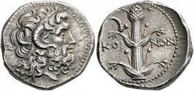 Cyrenaica, Cyrene.   Didrachm circa 250, Koinon issue, AR 7.82 g. Diademed head of Zeus Ammon r. Rev. Silphium plant, ibex horn to upper l.; KOI—NON a...