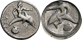 Calabria, Tarentum.   Nomos circa 510-450, AR 7.90 g. TARAΣ retrograde Oecist seated on dolphin r., l. arm extended; below, pecten. Rev. The same type...