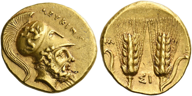 Metapontum.   Tetrobol circa 330, AV 2.85 g. ΛΕΥΚΙΠ[ΠΟΣ] Bearded head of Leucipp...
