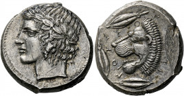 Leontini.   Tetradrachm circa 430-425, AR 17.08 g. Laureate head of Apollo l. Rev. LEO – N – TI – NON Lions' head l., with open jaws and protruding to...