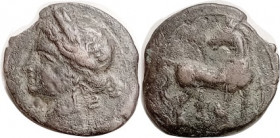 CARTHAGE , Æ22 (Shekel), 215-201 BC, Tanit head l./ horse stg r, head left, Punic letter in front; AVF/F+, centered on sl irregular flan, green-brown ...