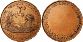 Agricultural, Scientific, and Professional Medals

Undated Essex County Institute Award Medal. By Robert Lovett. Harkness Nj-30. Bronze. Mint State....