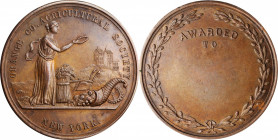 Agricultural, Scientific, and Professional Medals

Undated Orange County Agricultural Society Award Medal. Harkness Ny-440. Bronze. About Uncirculat...
