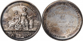 Agricultural, Scientific, and Professional Medals

1873 Cincinnati Industrial Exposition Award Medal. Harkness Oh-25. Silver. About Uncirculated.
...