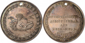 Agricultural, Scientific, and Professional Medals

Undated Lynchburg Agricultural and Mechanical Society Award Medal. Harkness Va-10. Silver. Mint S...