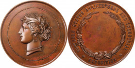 Agricultural, Scientific, and Professional Medals

Undated Southern States Agricultural and Industrial Exposition Award Medal. Harkness Reg-90. Bron...