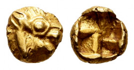 Ionia. Uncertain. 1/48 stater. 600-550 BC. (SNG Kayhan-708/10). (Rosen-293). Anv.: Lion's head to right. Rev.: Quadripartite incuse. Au. 0,28 g. Choic...
