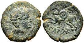 Ikalkusken. Unit. 120-20 BC. Iniesta (Cuenca). (Abh-1398). (Acip-2076). Anv.: Male head right. Rev.: Horseman left, holding round shield and spear, ib...