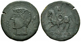Ikalkusken. Unit. 120-20 BC. Iniesta (Cuenca). (Abh-1416). (Acip-2087). Anv.: Male head left, caduceus before, dolphin behind. Rev.: Horseman left, ho...