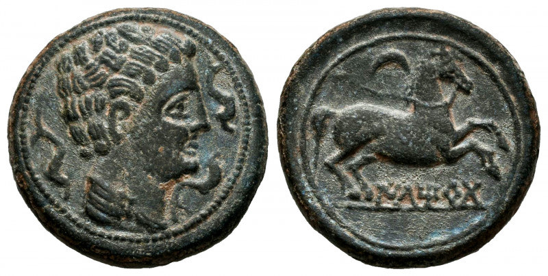 Iltirta. Half unit. 200-20 BC. Lleida (Cataluña). (Abh-1472). (Acip-1265). Anv.:...