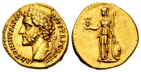 Antoninus Pius. Aureus. 145-161 AD. Rome. (Spink-4034). (Ric-158). (Cal-1460). Anv.: ANTONINVS AVG PIVS P P TR P COS IIII. Laureate bust right. Rev.: ...