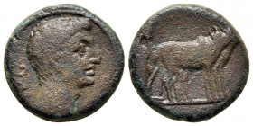 Bronze Æ
Macedon, Philippi, Augustus 27 BC-AD 14
16 mm, 4,80 g