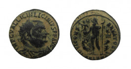 Follis Æ
Licinius I (308-324)
20 mm, 3,02g